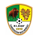 Dąb Zabierzów Bocheński W logo
