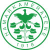 HamKam W logo