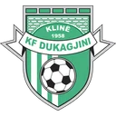 Dukagjini W logo