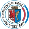 Kostrzyn nad Odrą W logo